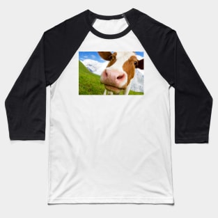 Swiss cow with big nose, wide angle shot Baseball T-Shirt
